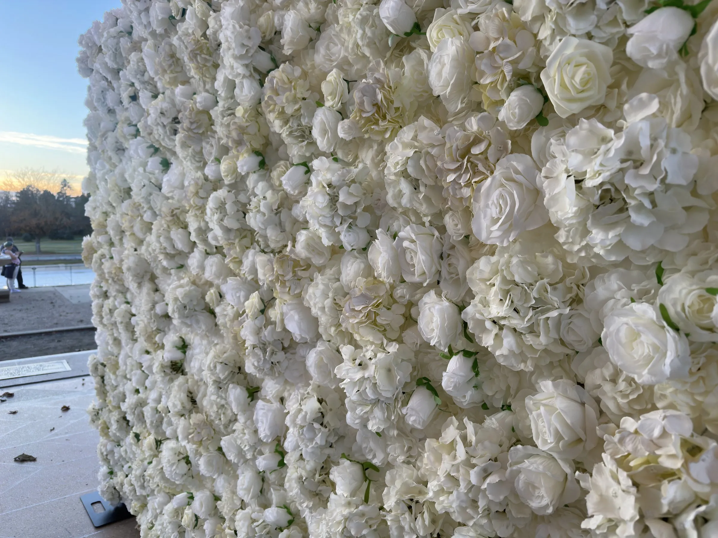 Close-up of ivory roses and hydrangeas on the flower wall